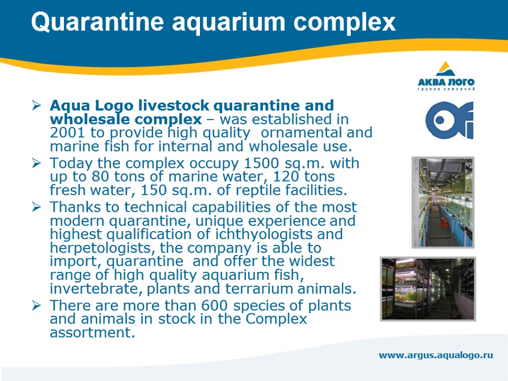 www.argus.aqualogo.ru Quarantine aquarium complex Aqua Logo livestock quarantine and wholesale complex – was established